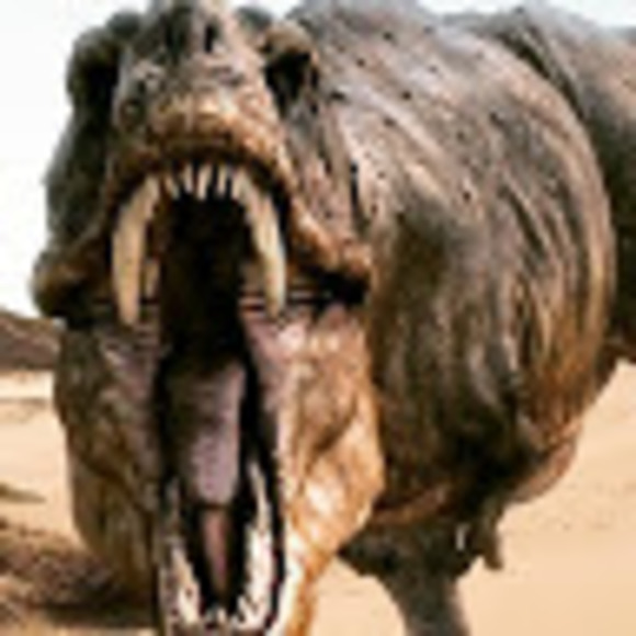 Meet your Posher, Justin - Picture 1 of 1